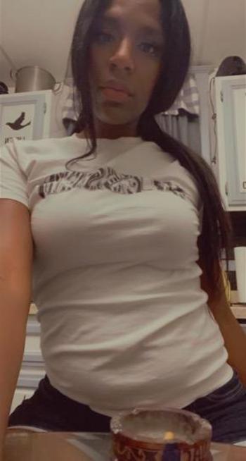 8722164531, female escort, Springfield