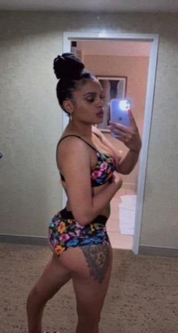 3128091472, female escort, Springfield